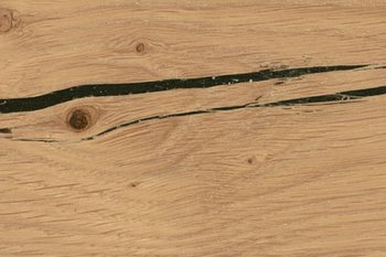 Santanaeiche hell geölt